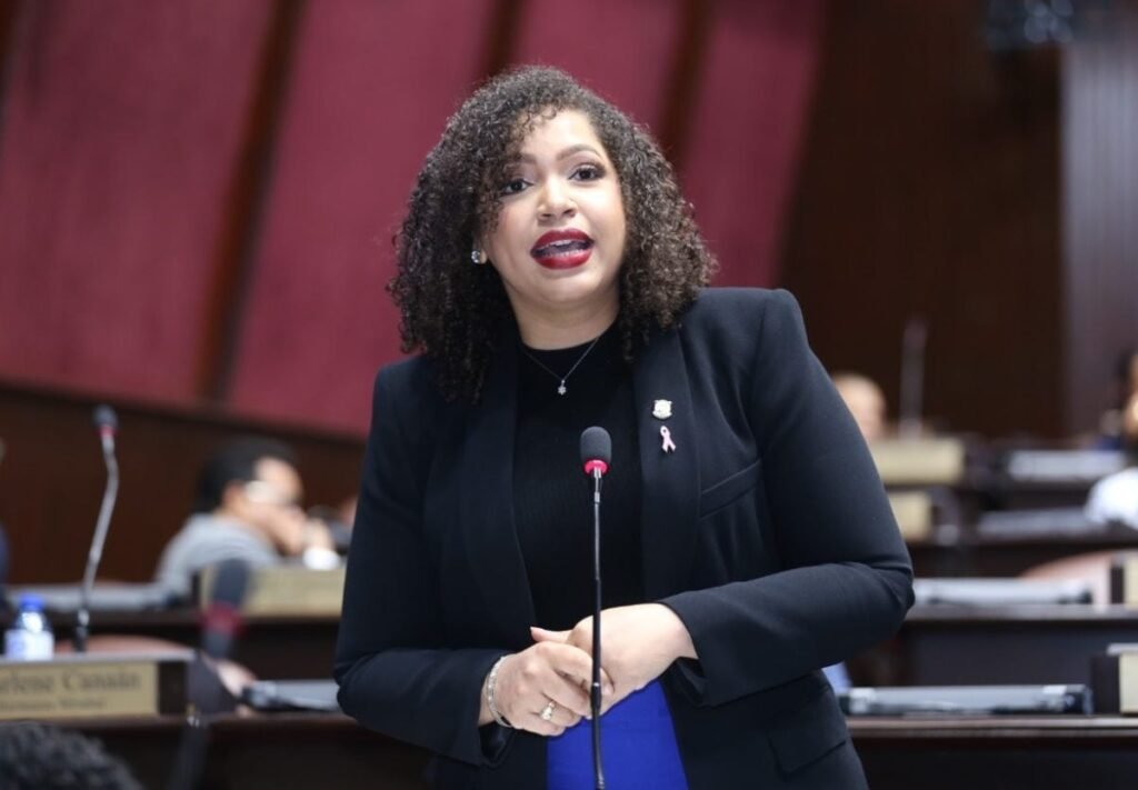 Diputados impulsan ley de alimentación escolar y aumentan la presión sobre Senado y Ejecutivo para no aplazarla: en contexto