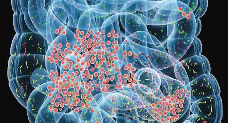 El norovirus vuelve a centrar la atención en la prevención y la respuesta ante brotes en espacios cerrados: en contexto