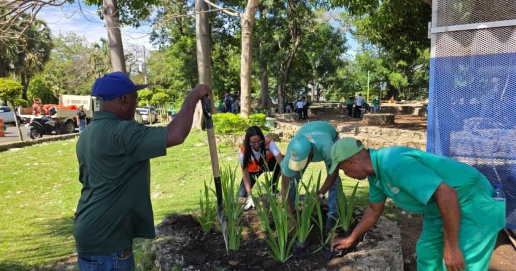 Intervención de Digecac en el parque Domingo Liz: ¿una acción aislada ante la falta de resultados?