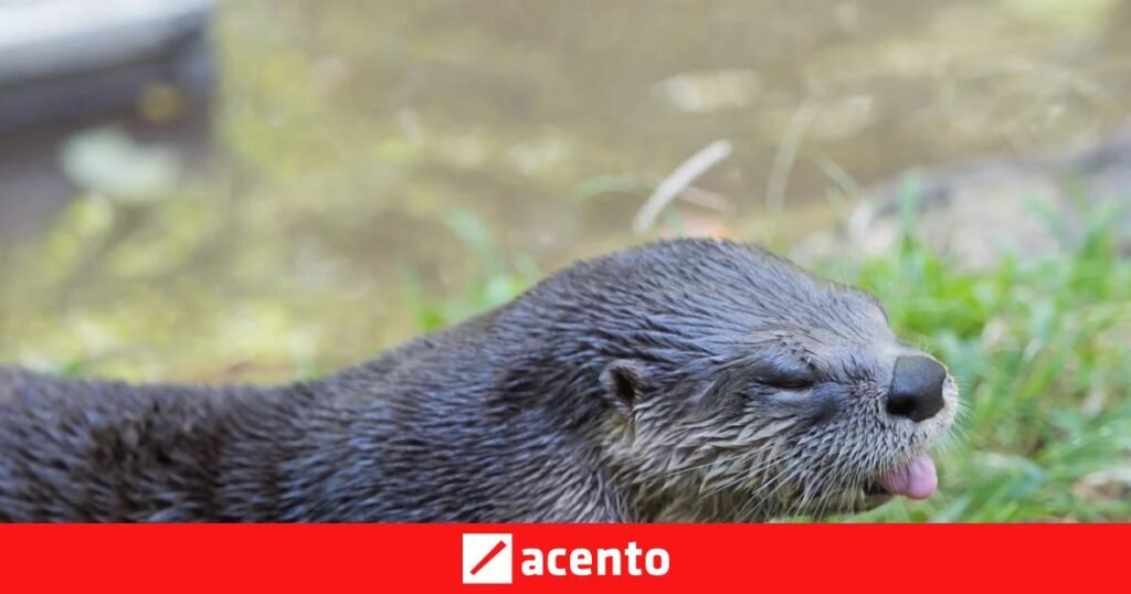 El 27 de mayo concentra llamados de atención en salud, ambiente e inclusión