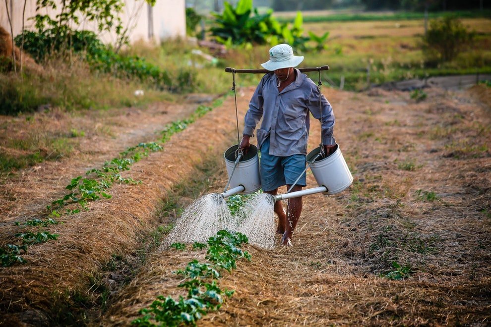 El avance del agro no basta para retener a los jóvenes en carreras agropecuarias: en contexto
