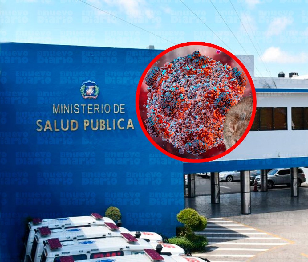 Ministerio de Salud asegura que no hay hantavirus, pero la vigilancia es insuficiente