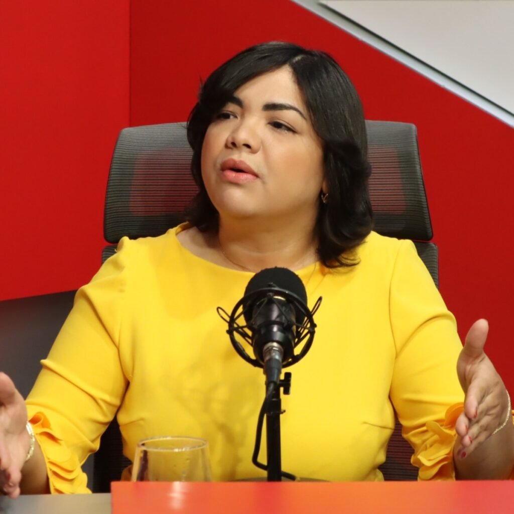 Dirigente del PLD advierte que reacción del Gobierno ante proyecto minero evidenció improvisación: en contexto