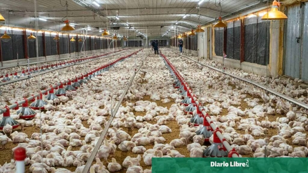 ADA respalda la ley que fija por completo la exoneración del anticipo del ISR al agro