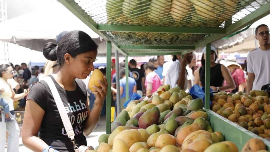 Baní es declarada “Capital del Mango” por ley y se reabre el debate sobre el rol del Congreso