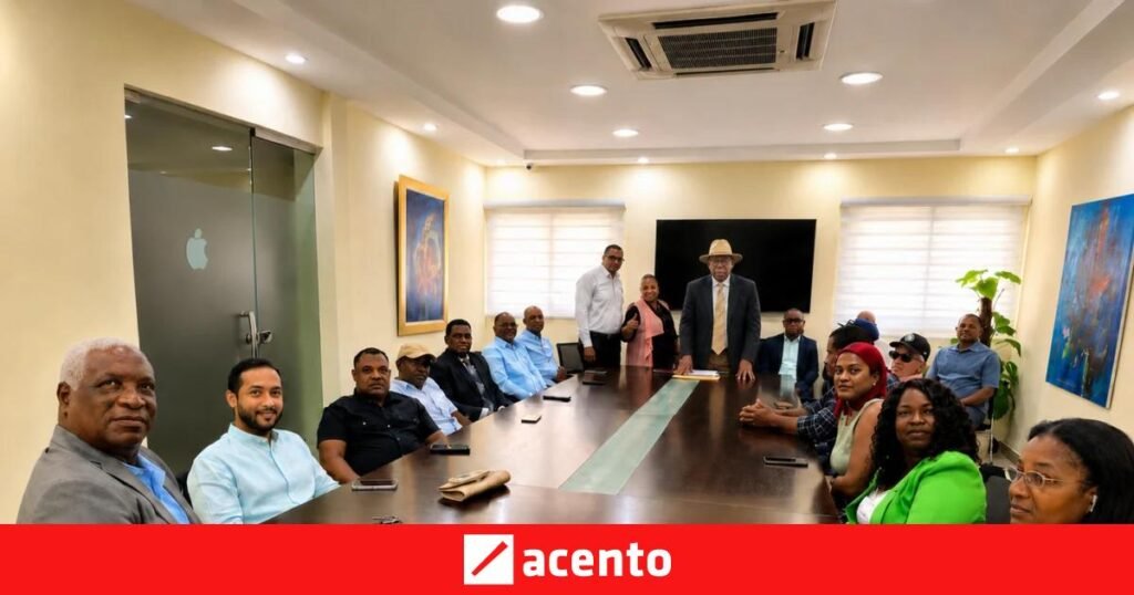 Sector externo de Leonel consolida su organización nacional y refuerza su apuesta por independientes