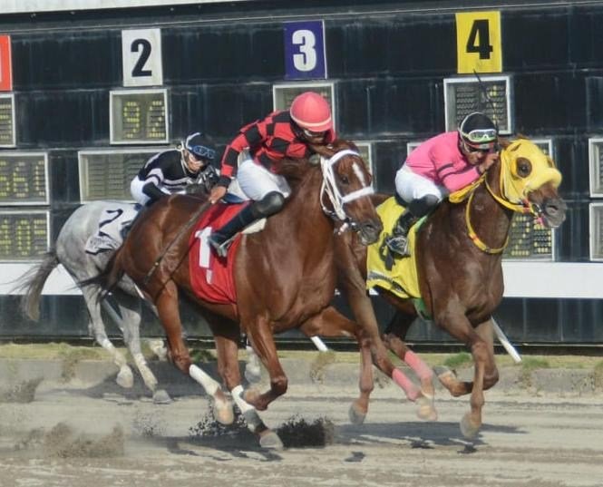Carrera anulada marca la jornada en el Quinto Centenario pese a pool de RD$52,456.00