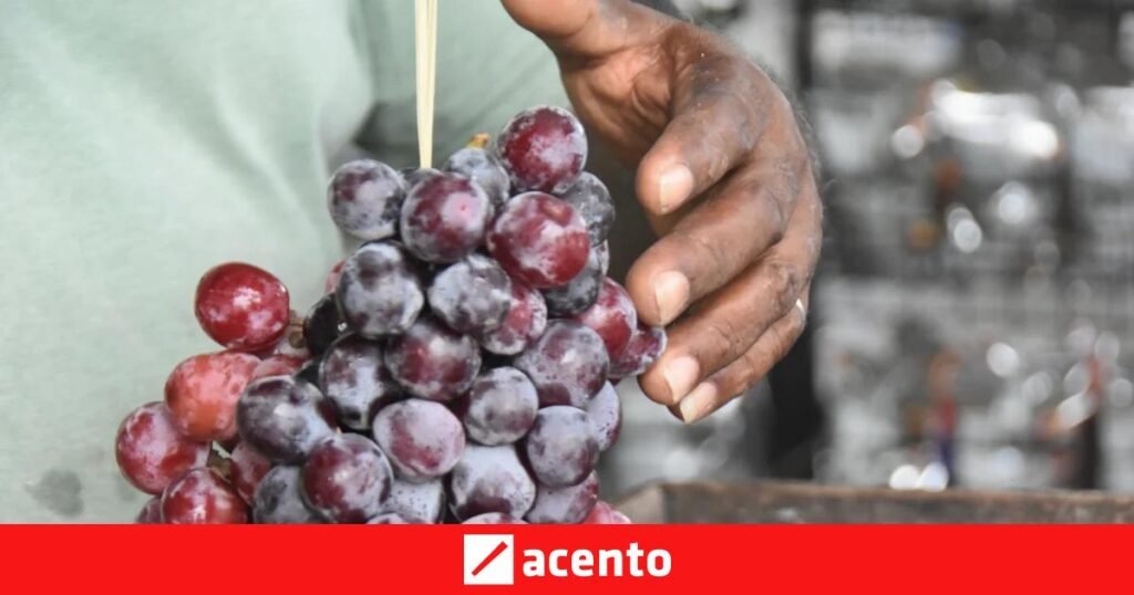 Uvas al borde del camino: el cruce de Vicente Noble sostiene la economía informal del Sur