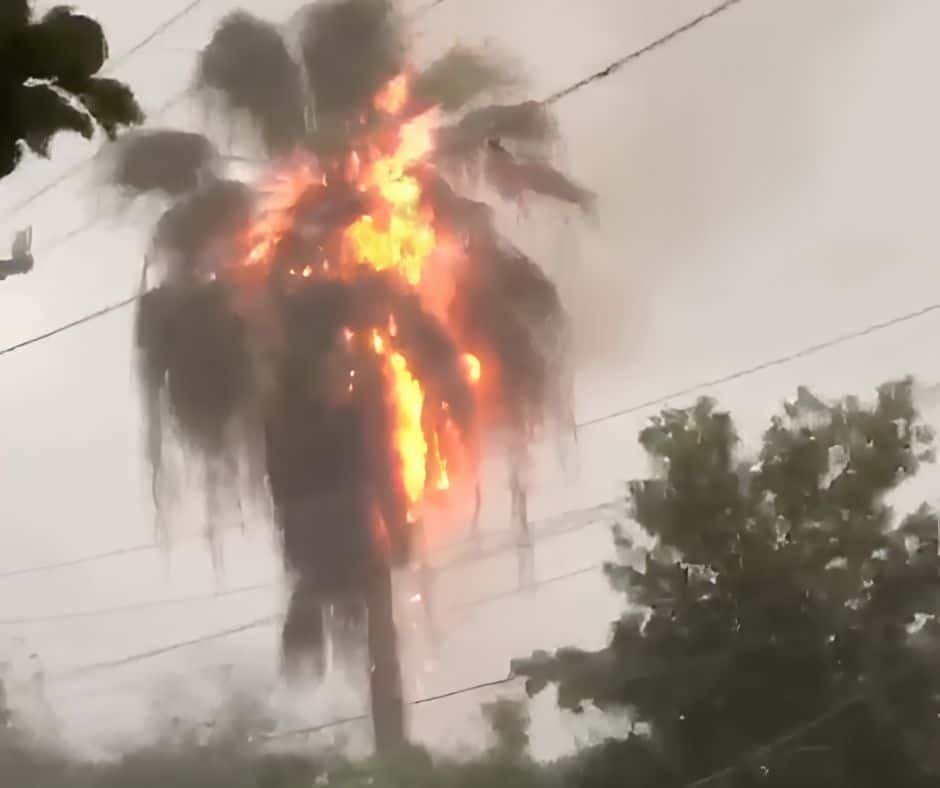 Incendio en una casa de La Vega tras el impacto de un rayo en una palma