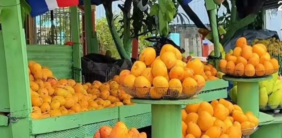 Hipólito Mejía resalta Expomango y lamenta la pérdida de una finca banileja que, dijo, dejaron morir