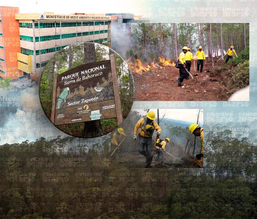 Gobierno refuerza la respuesta al incendio de Sierra de Bahoruco mientras sigue la evaluación del daño