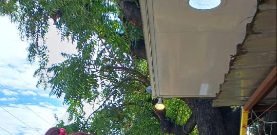 Baní abre hoy la Feria del Mango en una sede distinta por obras en el parque municipal