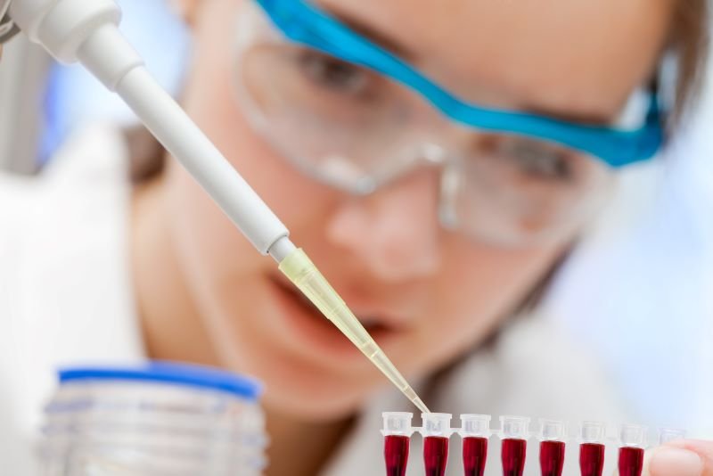 Un hallazgo sobre el hígado abre nuevas vías frente a la diabetes, la obesidad y la enfermedad metabólica