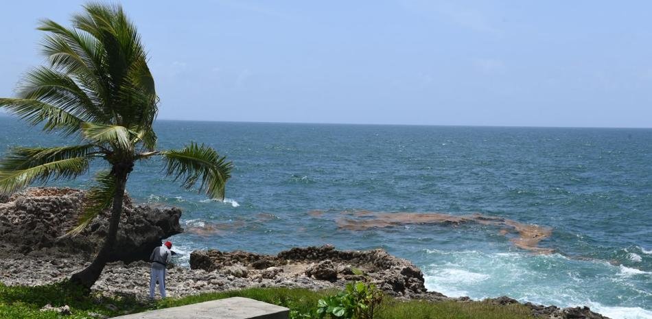 El sargazo alcanza el Malecón mientras no se anuncian medidas específicas