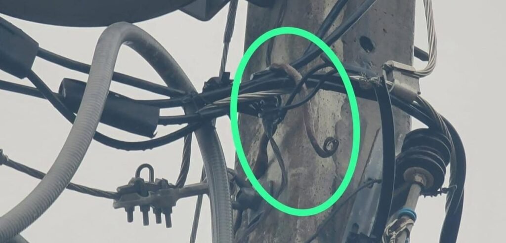 Apagón en Los Hidalgos vuelve a poner bajo lupa la fragilidad del servicio eléctrico en medio de las lluvias