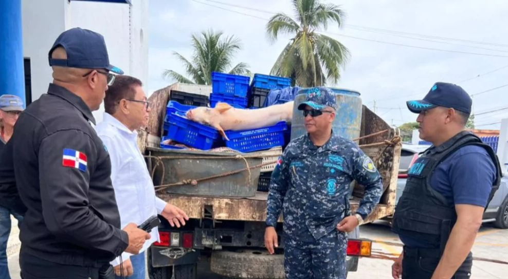 Desmantelan en Río San Juan un matadero clandestino con más de dos toneladas de carne en descomposición