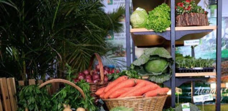 Importaciones, costos y deudas agravan la crisis agrícola en Constanza