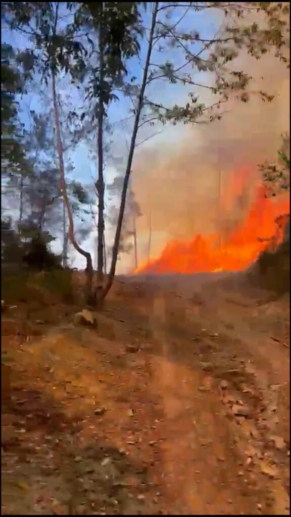 Sigue activo el incendio en El Naranjo y aún no se calcula el área afectada