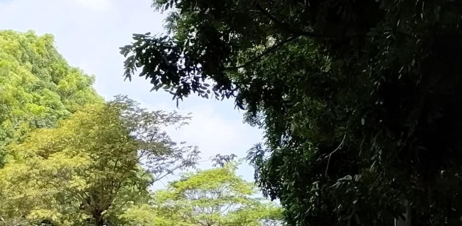 Al caer la tarde, Santiago vuelca su vida en parques y corredores