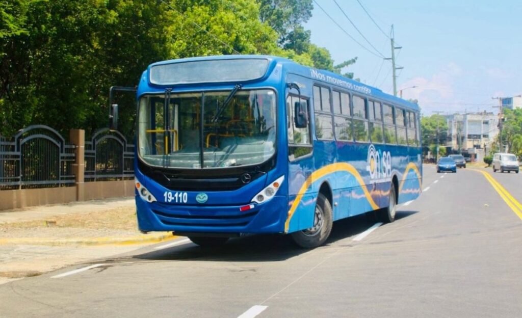 OMSA pone en marcha una ruta gratis para SD 2026 y deja el transporte como prueba clave del evento