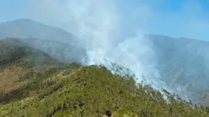 Controlan incendio en Valle del Tetero tras activar emergencia y movilizar 25 bomberos forestales