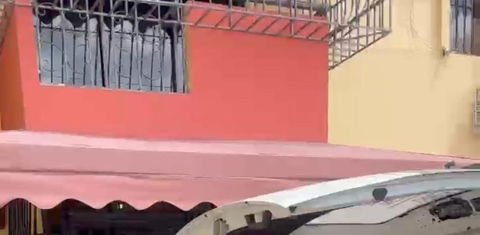 Aparece también muerto el perro en el apartamento de Rómulo Betancourt y el caso sigue sin causa definida
