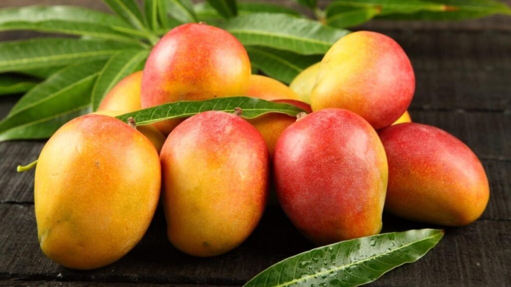 EE. UU. suspende el mango dominicano y deja al descubierto fallas que el sector dice conocer desde hace años