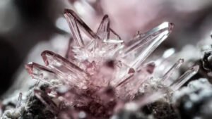 Rusia presenta una variedad mineral que, según el Ministerio de Ciencias, vale más que el oro