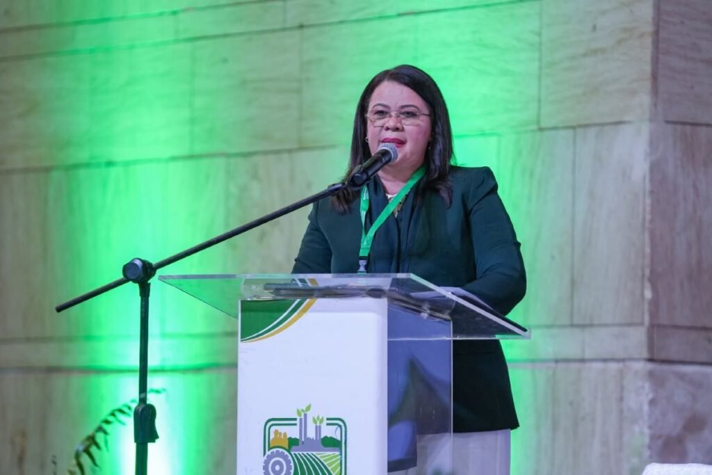 El auge turístico: déficit de técnicos más allá del discurso de expansión