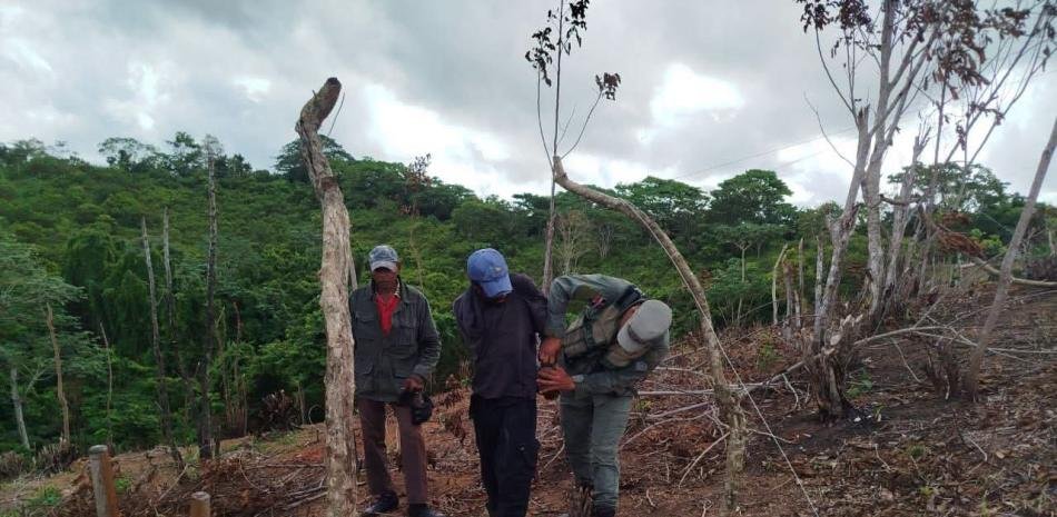 Pena suspendida por el incendio de Cañada de la Vaca y orden de sembrar 75 árboles por condenado