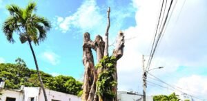 Vecinos de Los Prados cuestionan la tala de una anacagüita centenaria y exigen claridad sobre los permisos